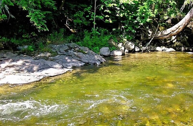 6 Acres Of River Front Heaven, booking summer and fall 2025!