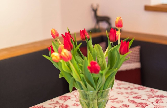6. apartment Unternberg, 50sqm, balcony, kitchen, 1 bedroom, 1 living room