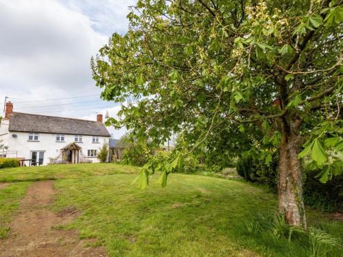 6 Bed in Cadeleigh 66780