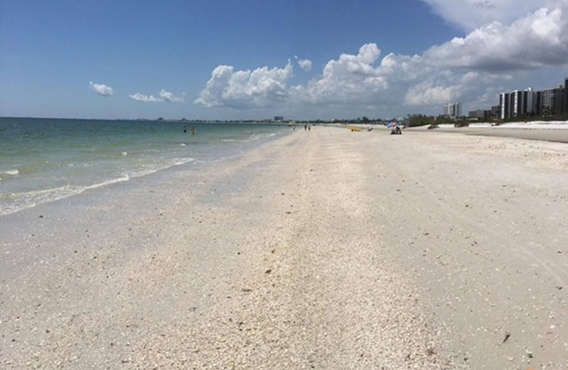 603A Spectacular Gulf Views w Updated Accommodations