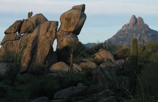 7 Nights of Desert Paradise 3/10-17 -- 2023 Spring Break & Spring Training