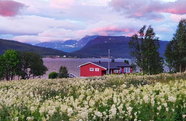7 person holiday home in Rossfjordstraumen