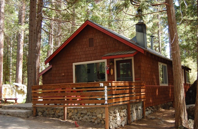 (78) Ox Yoke at The Redwoods In Yosemite