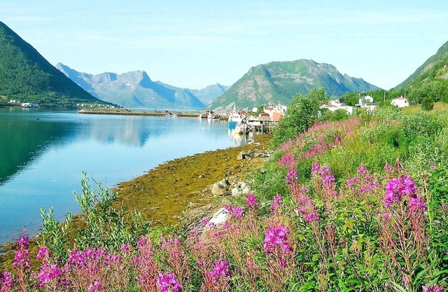 8 person holiday home in Kaldfarnes