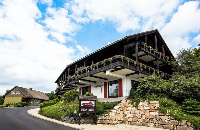 9 bedroom resort in sankt andreasberg