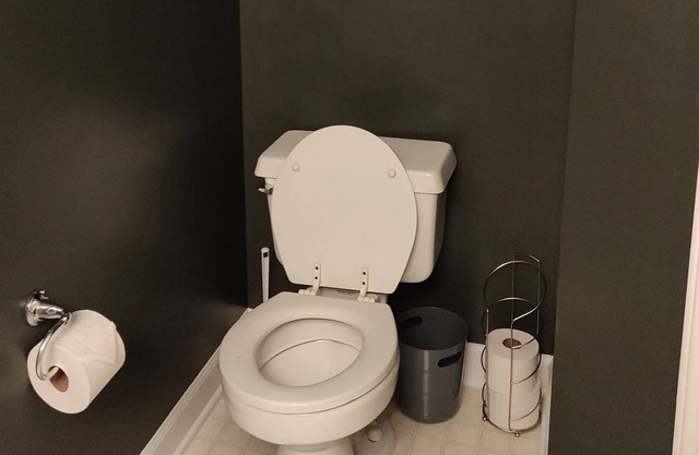 A 2.5 bedroom townhouse by the park. Accepting pets