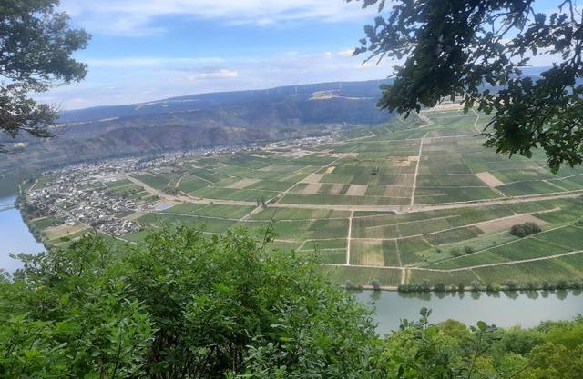 A&A Urlaubswohnung Piesport