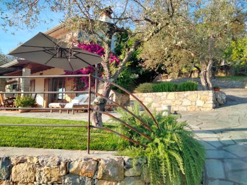 A CASA DI OLIVO