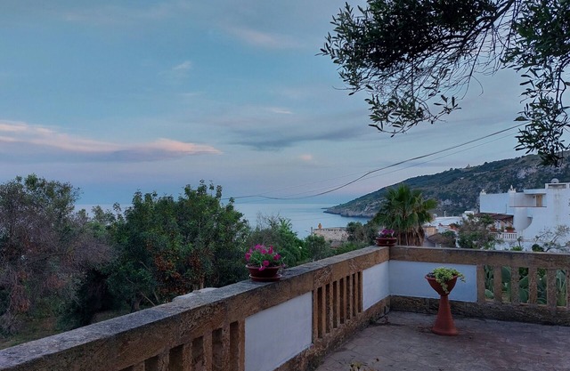 A corner of paradise in the green of an olive grove just a few steps from the sea