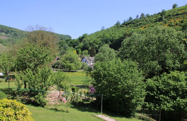 A cosy family stay at Gîte Les Glycines, in the heart of Alsace