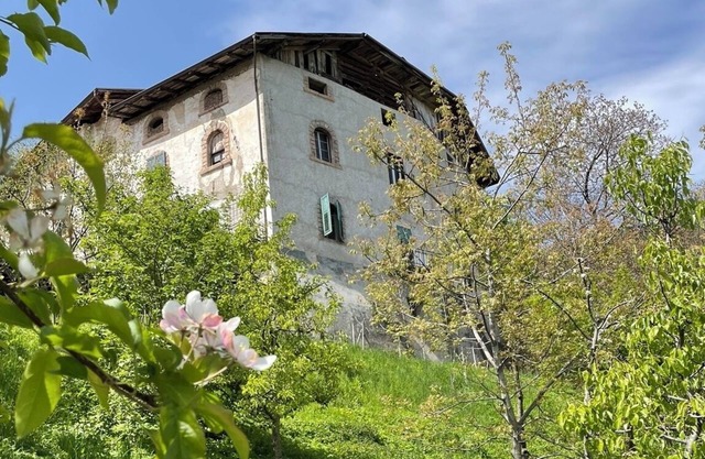 A.D. 1486 chambre Panoramic room in old mansion Val di Non