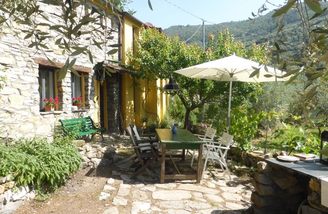 A detached artist's house in the middle of an olive grove, CITRA 008064-AGR-0004