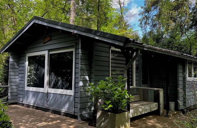 A dream chalet on the Veluwe