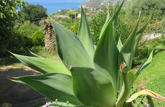 A house in a quiet, secluded location close to the beach with a superb sea view