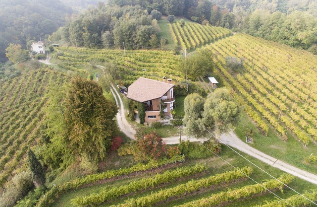 A house in the vineyard