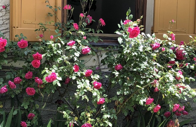 A o Soâ B&B