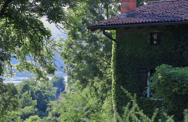 A Orta's lake view paradise, large house with beautiful private garden