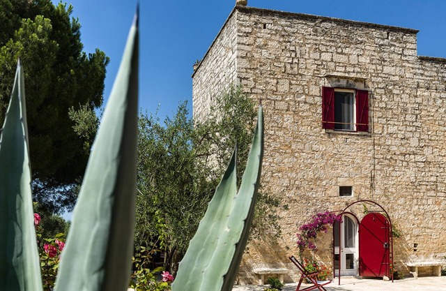 A passion. Torre Gigliano Ruvo di Puglia