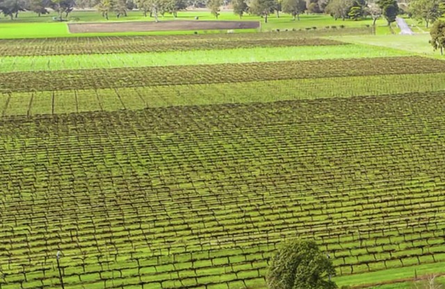 A Penola-Coonawarra Villa