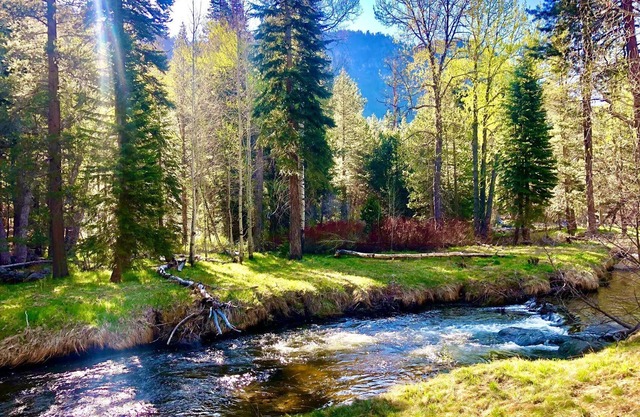 A Quintessential River Cabin LX45