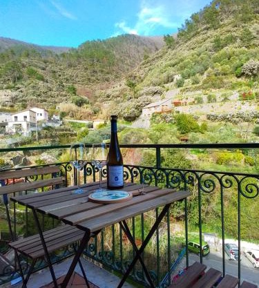 A relaxing nest - surroundings of Manarola
