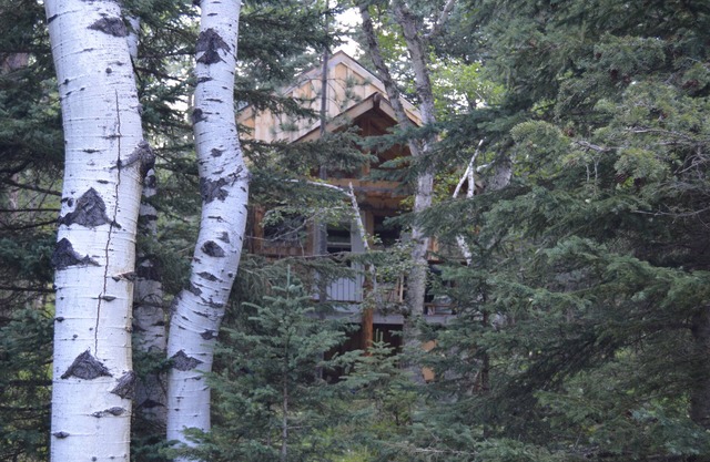 A remote cabin surrounded by Pine, Birch and Aspen trees, five miles to Deadwood