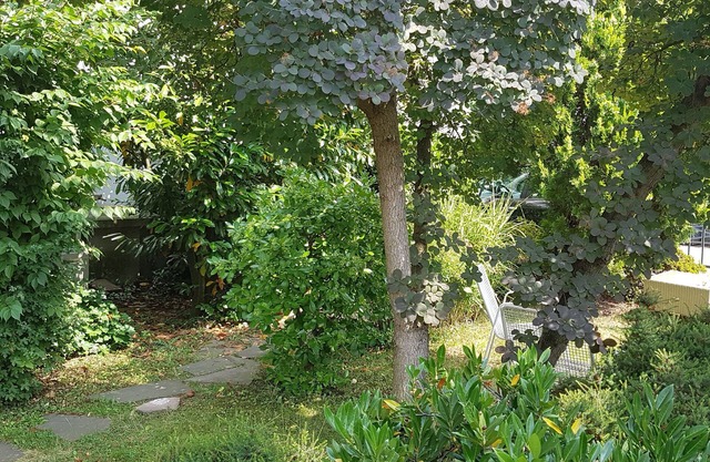 A&S Ferienwohnungen Koblenzer Strasse