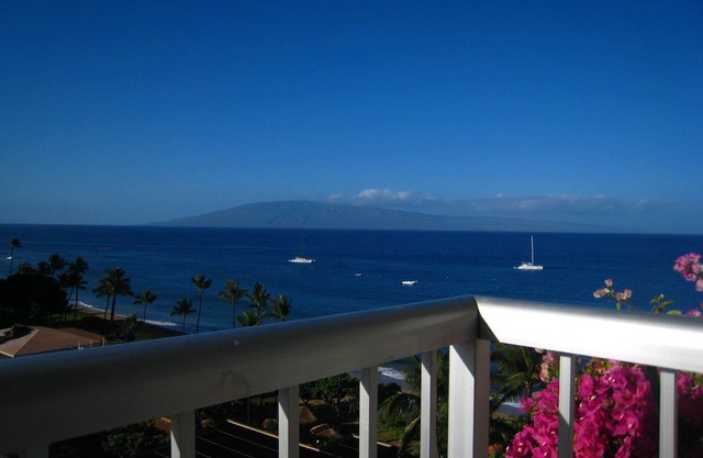 A Stunning Panorama - 10th Floor Views of Ocean, Beach, Mountains.even Whales!