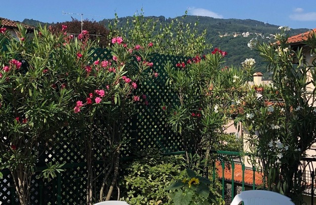 A terrace with mountain view, quiet and spacious apartment.