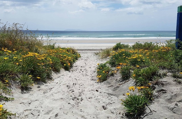 A Waihi Beach Escape. relaxing contemporary retro