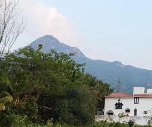 Aadya home stay