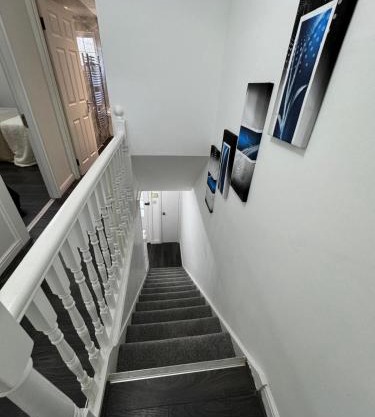 Abi's Den