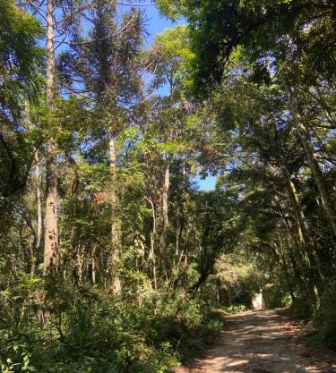 Abraço da Natureza