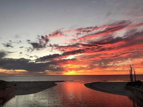 Absolute Beachfront, Adjacent Henley Square, Relax