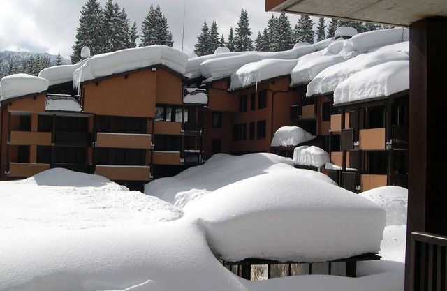 Accogliente Appartamento in Affitto a Madonna di Campiglio per L'inverno 2024