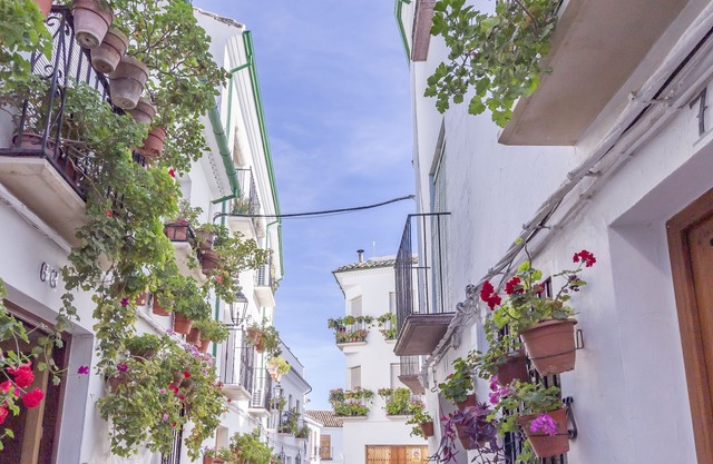 Accommodation in the Heart of El Barrio de la Villa