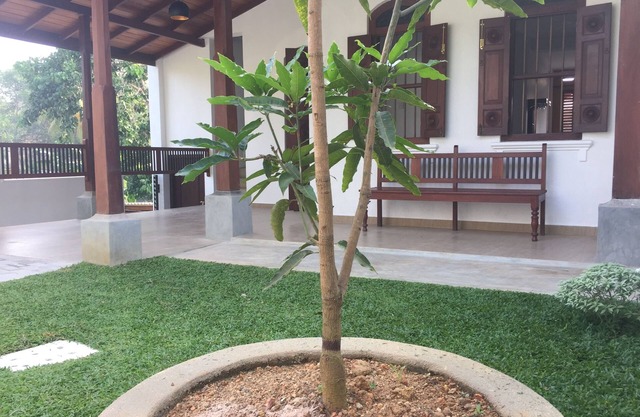 Accommodation for Foriegn Elective Medical students at Karapitiya ,Galle Sri Lan