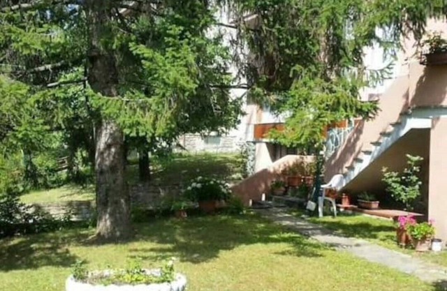Accommodation the pine tree