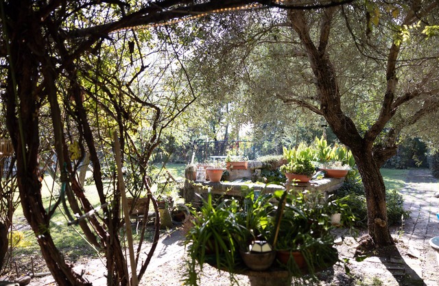 Acetaia Malagoli Daniele e B&B