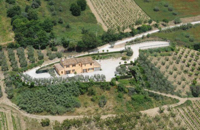 Acquarello
