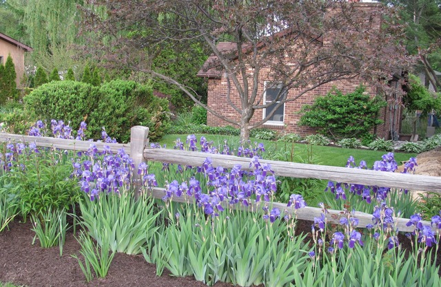 Adorable Cottage New Buffalo, Mi. Near Grand Beach.1 Bedroom, Sleeps 5