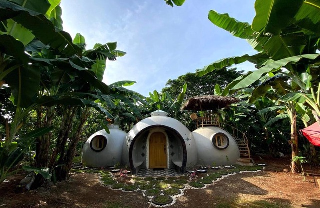 Adorable Dome House