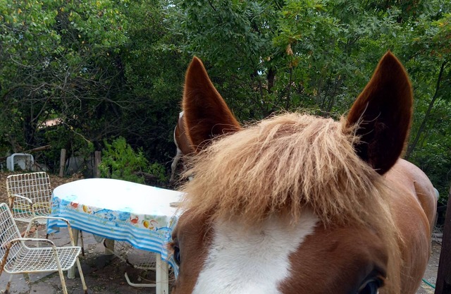 Adventure holiday in Cilento