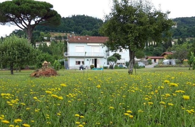 Affittacamere La Foresta di Sopra