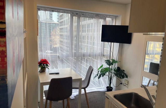 Affordable Apartment in the Heart of the City