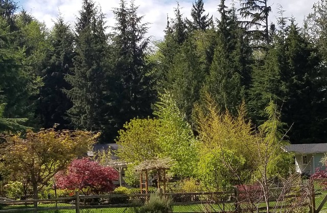 Affordable Private Guest House