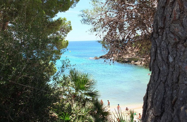 Afortunada - air-conditioning in all bedrooms, resort style gardens&pool