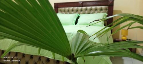 AFRIEUROTEXT Kamerun-High Standing-Appartements-Wifi-Security-Restaurant-modern Kitchen