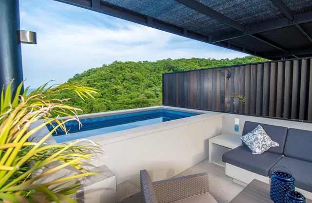 Agaves 204