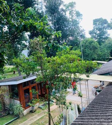 Ago Hotel and Villa